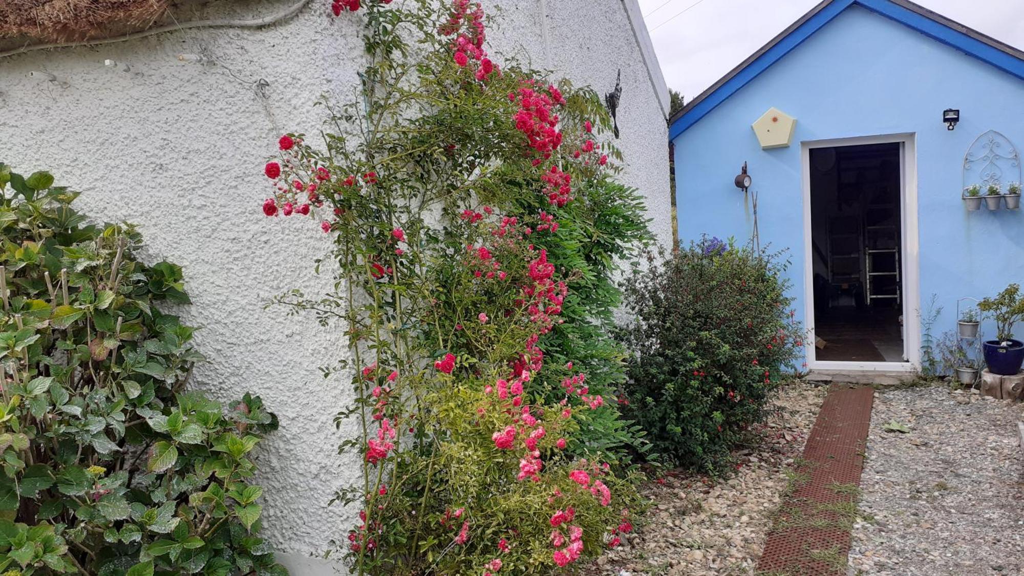 The Rockhouse - Cosy Stone Built Thatch Cottage Dungloe Extérieur photo